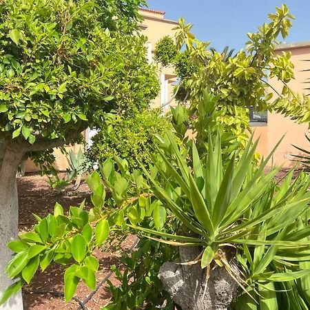 Ocean View Apartment In Orlando 아데제 외부 사진