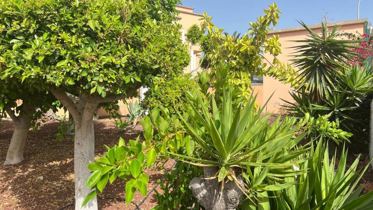 Ocean View Apartment In Orlando 아데제 외부 사진